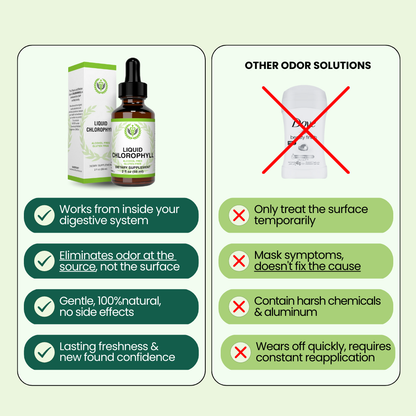 100% Organic Chlorophyll Drops For Gut Health & Body Odor